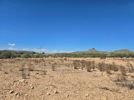 Acker-/Waldstück zum Kauf 33.500 € Salinas 03638