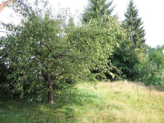 Grundstück zum Kauf 380.000 € 500 m² Grundstück Herzogenaurach 91074