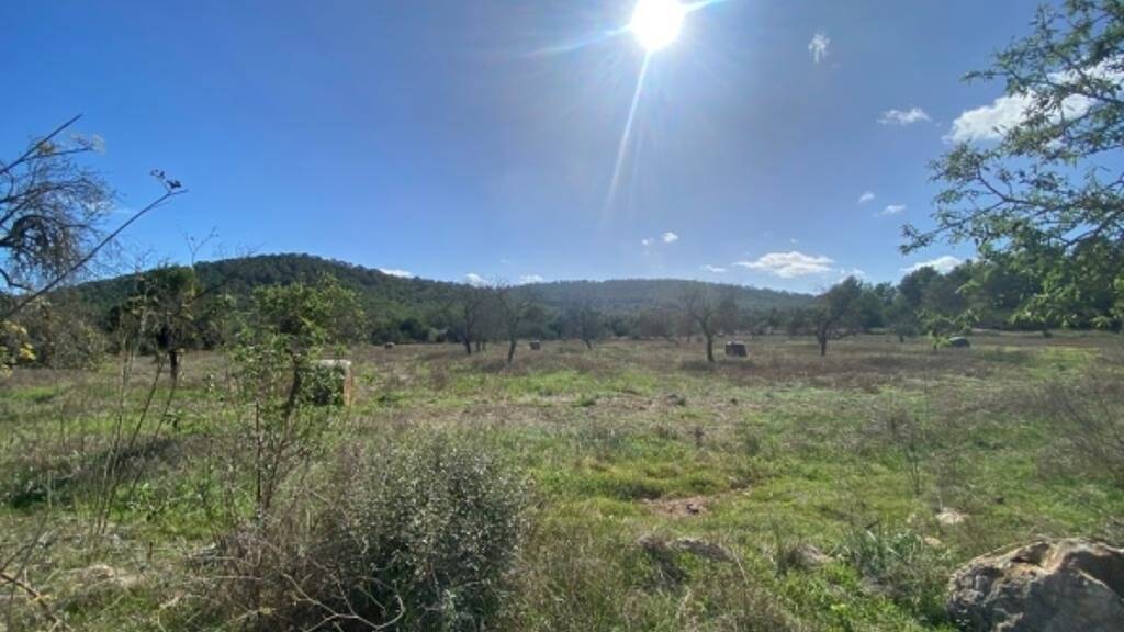 Einfamilienhaus zum Kauf 2.800.000 € 4 Zimmer 300 m² 135.000 m² Grundstück Sant Antoni de Portmany