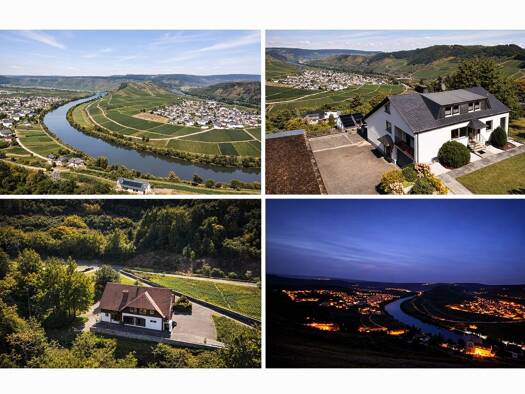 Einfamilienhaus zum Kauf provisionsfrei 680.000 € 10 Zimmer 270 m² 3.940 m² Grundstück Leiwen 54340