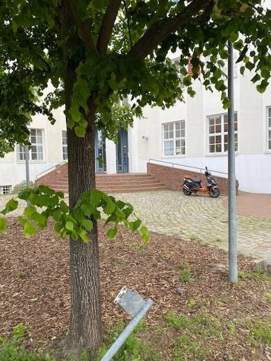 Bürofläche zur Miete provisionsfrei 10 € 14 Zimmer 398,2 m² Bürofläche Konsumhof 2 Babelsberg - Süd Potsdam 14482
