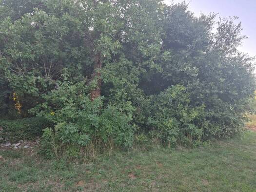 Acker-/Waldstück zum Kauf 21.500 € Kavran, Marčana Marčana 52206