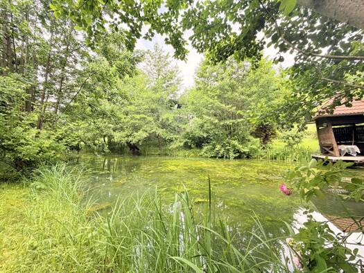 Haus zum Kauf 359.000 € 2 Zimmer 75 m² 2.984 m² Grundstück Ludmannsdorf 9072