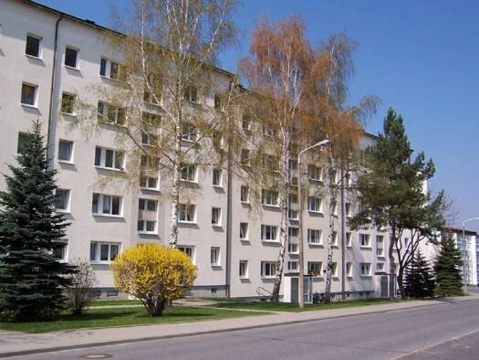Wohnung zur Miete 394 € 4 Zimmer 68 m² 2. Geschoss frei ab sofort Neustadt Neustadt in Sachsen 01844