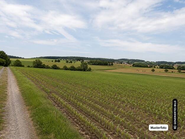 Land-/Forstwirtschaft zum Kauf provisionsfrei 4.500 € 1.804 m² Grundstück Mauer 69256