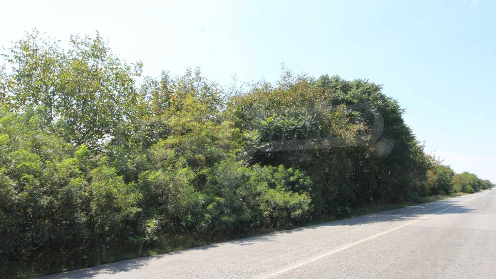 Land-/Forstwirtschaft zum Kauf 39.500 € Veliko Tarnovo