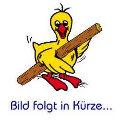 Wohnung zur Miete 715 € 2 Zimmer 55 m² frei ab sofort Ansbach Ansbach 91522