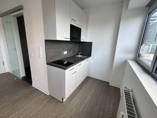 Wohnung zur Miete 800 € 1 Zimmer 25 m² Geschoss 2/11 frei ab sofort Schwanheim Frankfurt am Main 60528