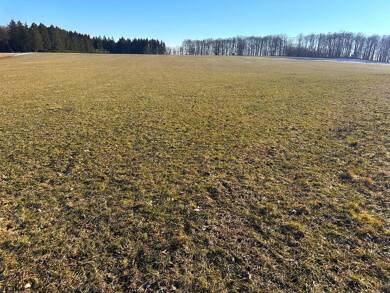Land-/Forstwirtschaft zum Kauf 180.000 € 58.717 m² 58.717 m² Grundstück Ettelscheid Schleiden 53937