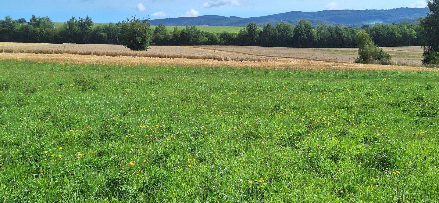 Property thumbnail 22