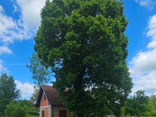 Haus zum Kauf 120.000 € 5 Zimmer 57 m² Lovinac