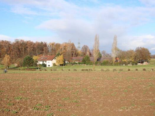 WG-Zimmer zur Miete Wohnen auf Zeit 575 € 30 m² frei ab 31.07.2027 Schafhof 0 Ebersbach Ebersbach /Fils 73061
