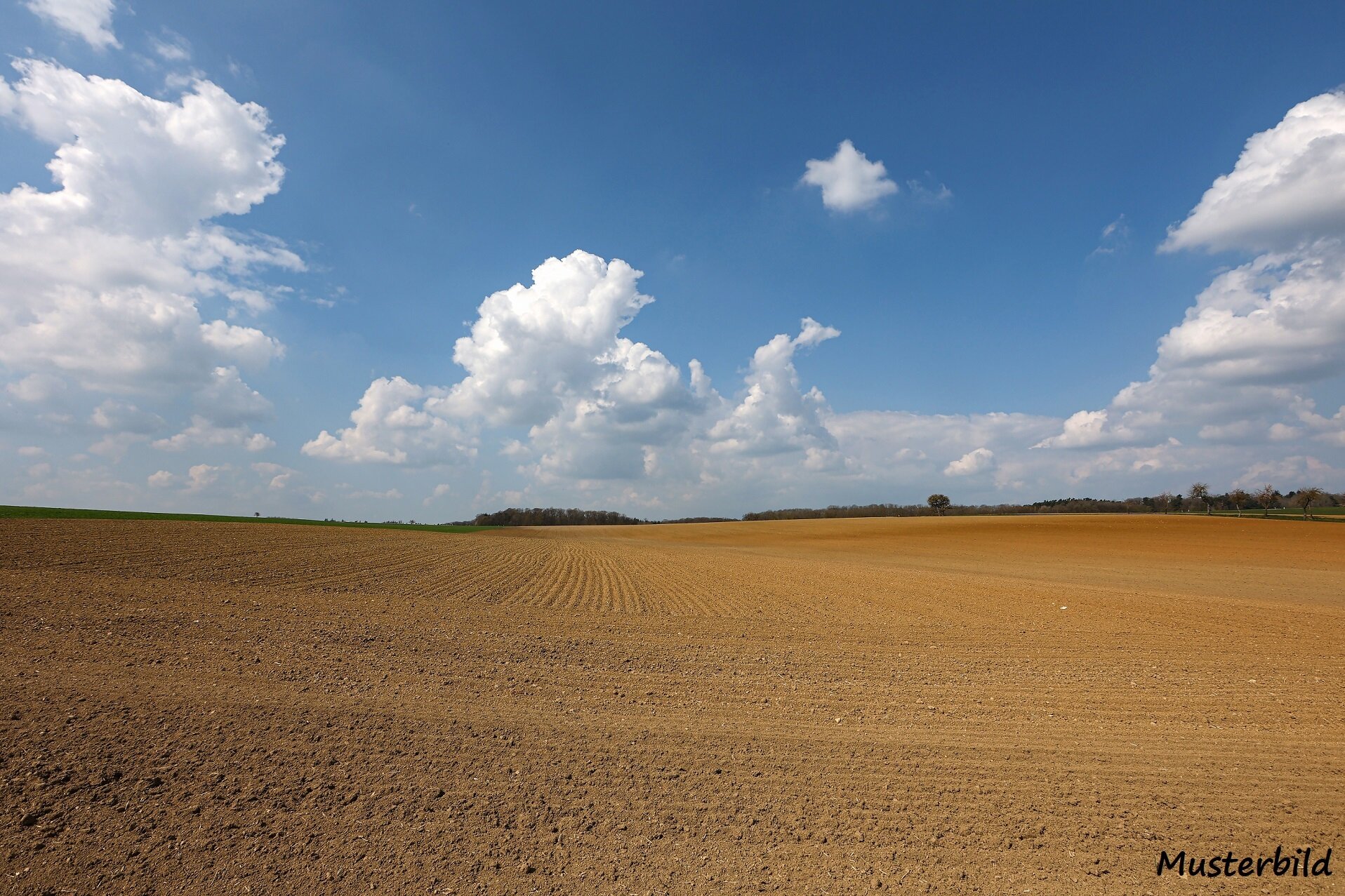 Landwirtschaftliche Fläche zum Kauf 53.000 m²<br/>Grundstück Wolfshagen Uckerland 17337