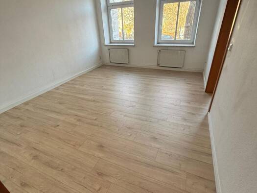 Wohnung zur Miete 350 € 1,5 Zimmer 56 m² Geschoss 2/3 frei ab sofort Schmelzhüttenstraße 43 Innenstadt Gera 07545