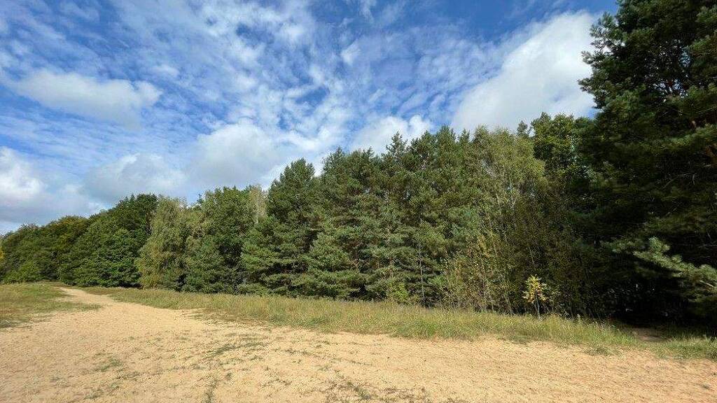 Forstwirtschaft zum Kauf 299.000 € 300.684 m² Grundstück Schönfließ 16567