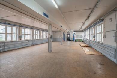 Lagerhalle zur Miete 720 € 180 m² Lagerfläche Schwenningen 72477