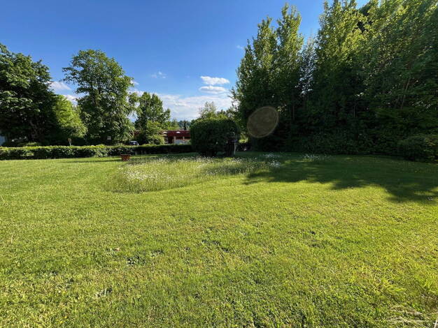 Wohnung zum Kauf provisionsfrei 289.500 € 4 Zimmer 97,7 m² EG Leutkirch Leutkirch im Allgäu 88299