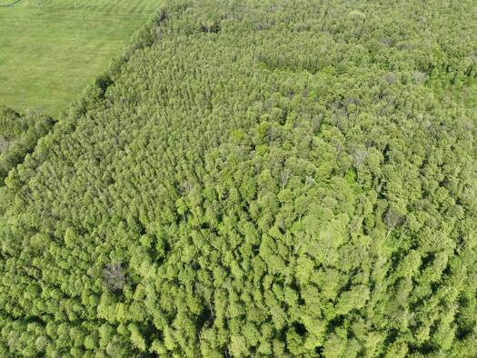 Land-/Forstwirtschaft zum Kauf provisionsfrei 29.999 € 14.863 m² Grundstück Lübben Lübben (Spreewald) 15907