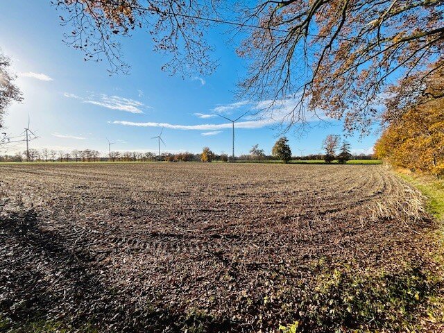 Land-/Forstwirtschaft zum Kauf 495.000 € 42.628 m²<br/>Grundstück Hauenhorst Rheine 48432