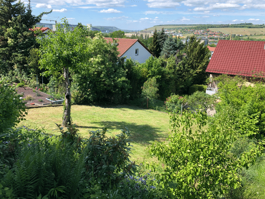 WG-Zimmer zur Miete 490 € 14 m² Geschoss EG/2 frei ab sofort Haafstraße 3 Zellerau Würzburg 97082