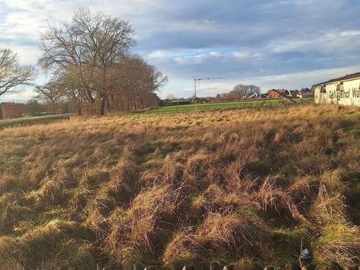 Gewerbegrundstück zum Kauf provisionsfrei 4.000 m² Grundstück Bielen Nordhausen 99734