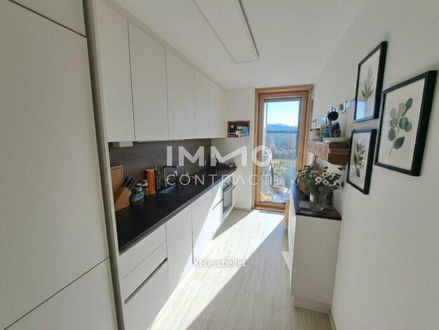 Wohnung zum Kauf 345.000 € 4 Zimmer 87,9 m² Ufer Linz 4030