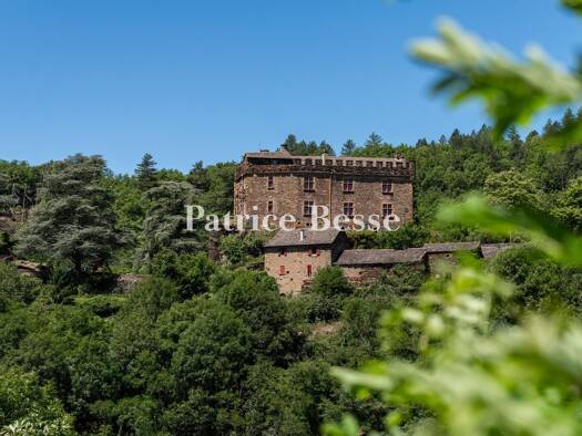 Land-/Forstwirtschaft zum Kauf 650.000 € 138.948 m² Grundstück Florac Trois Rivières 48400