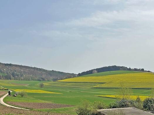 Grundstück zum Kauf provisionsfrei 81.804 € 401 m² Grundstück Neunkirchen 74867