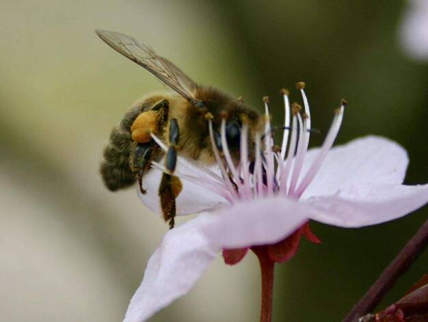 Terrassenwohnung zum Kauf provisionsfrei 305.000 € 2,5 Zimmer 68 m² EG Reichenbachstraße 5 Bad Reichenhall 83435