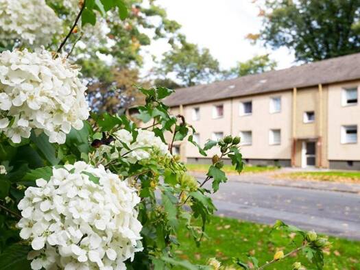 Wohnung zur Miete 375 € 2 Zimmer 50 m² 1. Geschoss Friedrich-Ebert-Straße 28 Hochheide Duisburg 47198