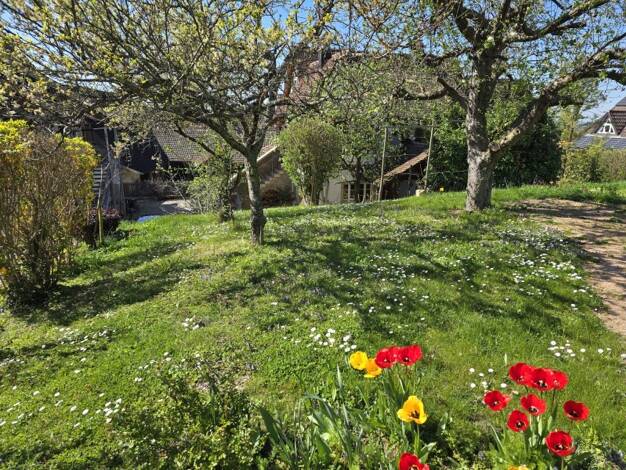 Grundstück zum Kauf 130.000 € 364 m² Grundstück Britzingen Müllheim 79379