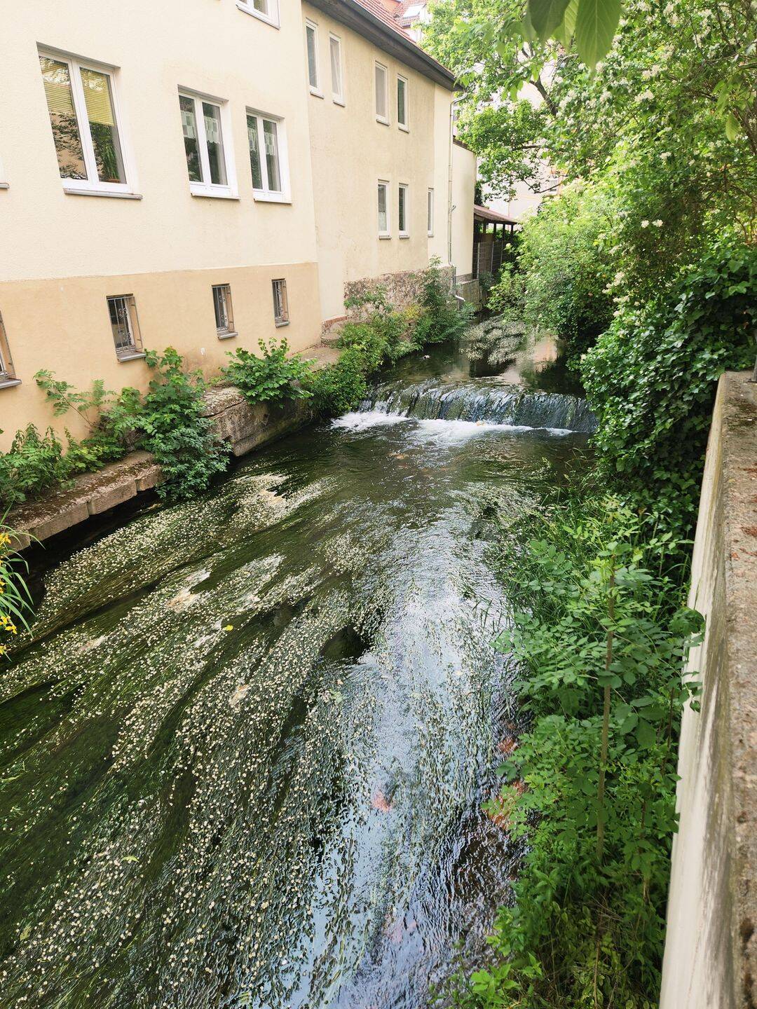 "Investieren oder Einziehen: Stilvolle Wohnung mit Terrasse direkt an der Gera"