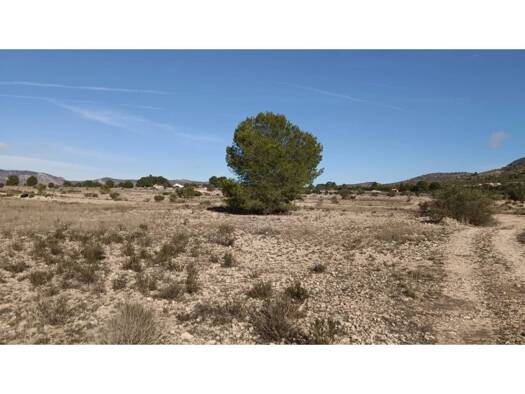 Acker-/Waldstück zum Kauf 54.999 € Salinas 00000