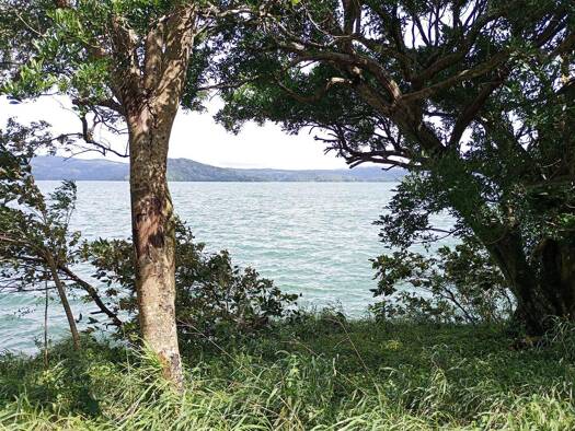 Villa zum Kauf 499.000 $ 3 Zimmer 180 m² 6.465 m² Grundstück frei ab sofort Tronadora Tilaran 50801