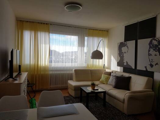 Wohnung zur Miete auf Zeit 1.389 € 1 Zimmer 45 m² frei ab 28.02.2027 Urfahr Linz 4040