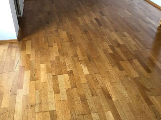 Studio zur Miete 800 € 1 Zimmer 36 m² Geschoss 2/3 frei ab 01.11.2026 Galgenberg Regensburg 93053