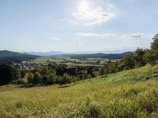 Grundstück zum Kauf 195.000 € 881 m² Grundstück Mattelsberg 8452