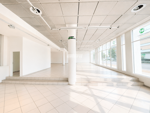 Ladenfläche zur Miete 277 m² Verkaufsfläche Altstadt Erfurt 99084