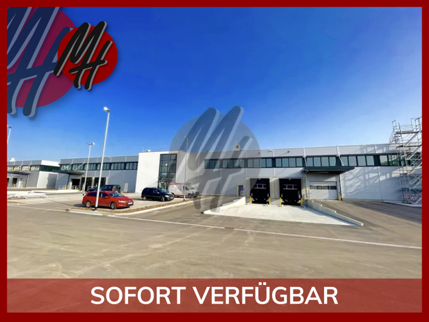 Halle/Industriefläche zur Miete 4.000 m² Lagerfläche Groß-Gerau 64521