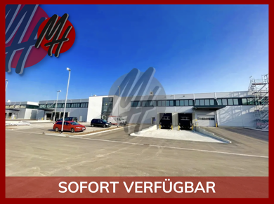 Halle/Industriefläche zur Miete 4.000 m² Lagerfläche Groß-Gerau Groß-Gerau 64521