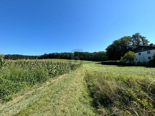 Grundstück zum Kauf 200.000 € 1.664 m² Grundstück Feldkirchen bei Mattighofen 5143