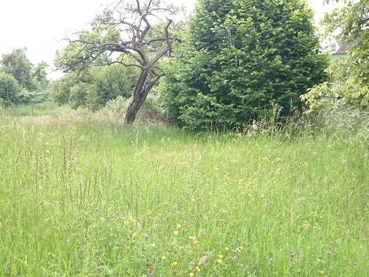 Grundstück zum Kauf provisionsfrei 269.000 € 1.306 m² Grundstück Frickenfelden Gunzenhausen 91710