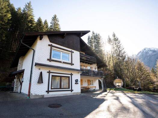 Mehrfamilienhaus zum Kauf als Kapitalanlage geeignet 1.290.000 € 280 m² 815 m² Grundstück Mittelberg 6993