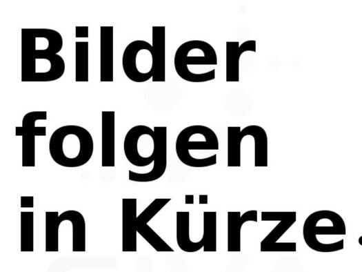 Wohnung zur Miete 600 € 2 Zimmer 55 m² Geschoss 2/3 Radolfzell Radolfzell am Bodensee 78315