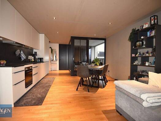 Wohnung zur Miete 1.043 € 2 Zimmer 61,6 m² 1. Geschoss frei ab sofort Flurstraße 21 Lustenau 6890