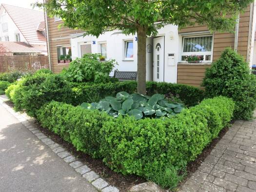 Doppelhaushälfte zur Miete 1.800 € 5 Zimmer 160 m² 258 m² Grundstück frei ab sofort Rielasingen Rielasingen-Worblingen 78239