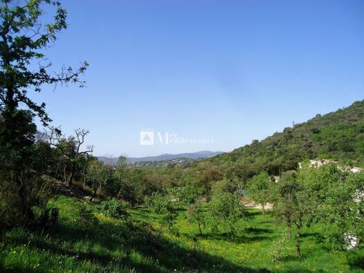 Grundstück zum Kauf 900.000 € 6.922 m² Grundstück Place du Château 3 Grimaud 83310