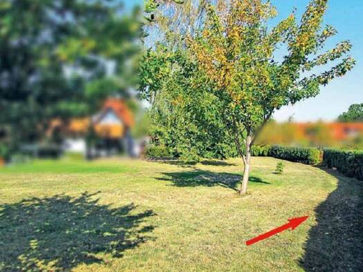 Grundstück zum Kauf provisionsfrei 6.900 € 486 m² Grundstück Bergenroder Straße Weddingen Goslar 38690