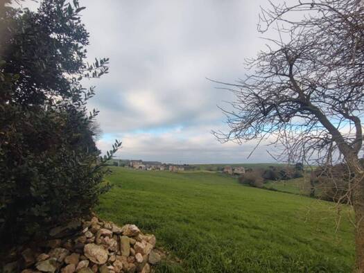 Acker-/Waldstück zum Kauf 60.000 € Polígono 4 Parcela 520 CP LA MARINA TAPIA DE CAS Tapia de Casariego 33749