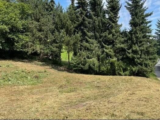 Grundstück zum Kauf 49.570 € 1.083 m² Grundstück Mohorn Wilsdruff 01723